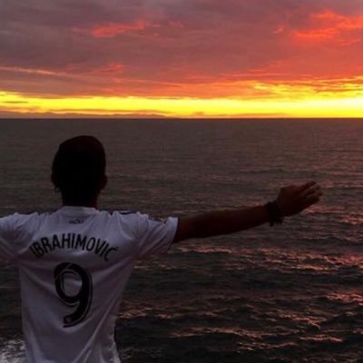 carljung98's profile picture. 𝑳𝒊𝒐𝒏𝒔 𝒅𝒐𝒏'𝒕 𝒔𝒐𝒖𝒏𝒅 𝒍𝒊𝒌𝒆 𝒉𝒖𝒎𝒂𝒏𝒔. {MMXVI-IX-I}