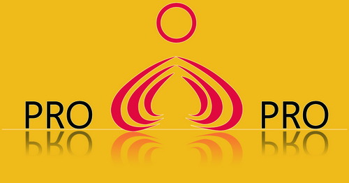 PROIPRO's profile picture. Diseño Web · Consultoria SEO · Diseño Grafico y 3D