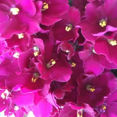 Vanessa88024203's profile picture. 