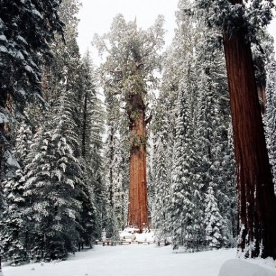 Eve_Bay's profile picture. 