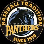 Kitchener Panthers(@IBL_Panthers) 's Twitter Profile Photo