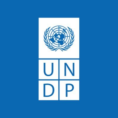 UNDPTokyo Profile Picture