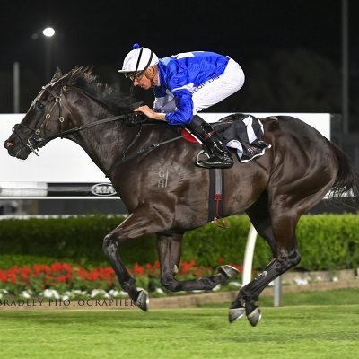 A boutique stable based at Warwick Farm. Multiple Group 1-winning trainer and stallion-maker. Trainer of Castelvecchio and Profondo.