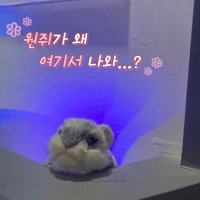 상냥해씨 (@sunflowerseeeed) 's Twitter Profile