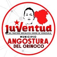 Juventud PSUV Angostura D' Orinoco(@JuventudPsuvBol) 's Twitter Profile Photo