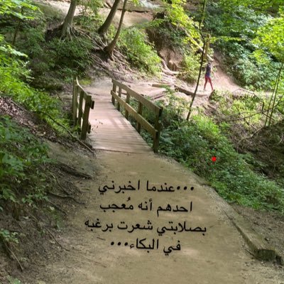 أم لخمسة ابناء رائعين...ابنة لأكثر ابوين داعمين...لا حدود للطموح🌻سلاحي الوحيد دعائي و املي الوحيد رحمة ربي بي.