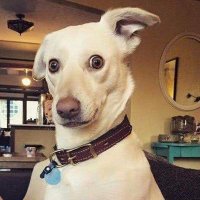 Lola 🌱💛 (@lola95762459) 's Twitter Profile Photo