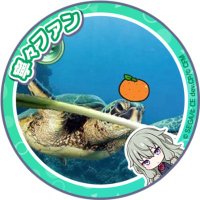 海ガメ🧀(@umigame_negi) 's Twitter Profile Photo