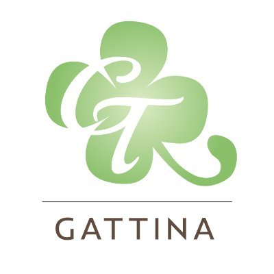 ガッティーナ Twitter Search Twitter ガッティーナ Twitter Search Twitter