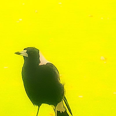 PeteMos63145417's profile picture. Artist, NFT Artist, mixedvege, Dad, Husband, Hiker, Music Lover