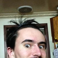 FaultedSkink (@skinkfaulted) 's Twitter Profile