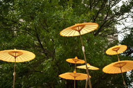 NanaProjects's profile picture. Nana Projects is a company of visual alchemists creating innovative artwork that draws people together in public spaces and strengthens community.