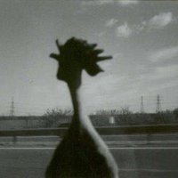 Arnie Smith (@arniesmith) 's Twitter Profile