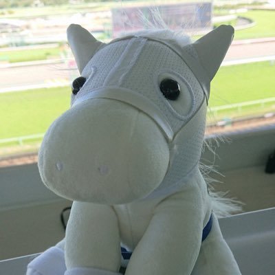 競馬サークルの大阪市大賞典です!厩舎は大阪市立大学!主戦ジョッキーは小牧太です!メンバー大募集してます!みんなで競馬を楽しもう!