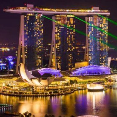 ms70314768's profile picture. 