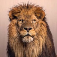 Manuel Jimenez (@manu_0713) 's Twitter Profile Photo Manuel Jimenez (@manu_0713) 's Twitter Profile Photo