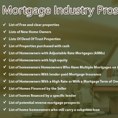 provide sevices#Mortgage leads#Credit repair leads# Generate realestate leads#Website Designer.