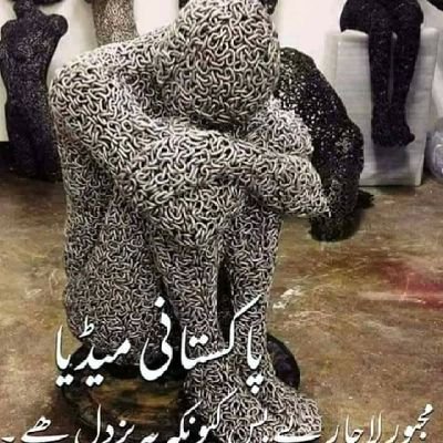 TalhaChishti17's profile picture. Journalist