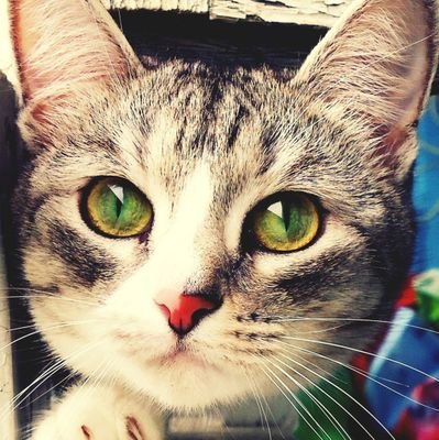 まだ不慣れなので、いいねしたりコメント付けてるだけのそこらへんのおばさんです。(DMのお返事は基本的にしていませんので、ご了承ください)