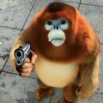 CasualJaey's profile picture. 