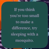 Makkapakka (@makkapakka_h) 's Twitter Profile