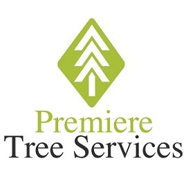We are Florida’s Favorite Tree Services Company! We have the unbeatable service, competitive prices and excellent customer service that makes us No.1!!