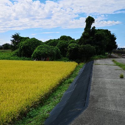 未来の子供達に綺麗な地球を残そう！埼玉県を中心に太陽光発電所を所有、埼玉在住アラフィフよろしくどうぞ～