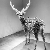 shinー3児のパパゲーマー (@shin_game_0630) Twitter profile photo