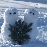 Katie carbaugh (@carbaugh1) 's Twitter Profile Photo