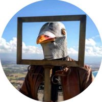 John Pigeon - @Johnpigeon_ Twitter Profile Photo