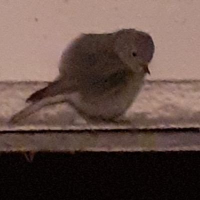 Beneton_G's profile picture. Il y a deux histoires: l'histoire officielle, menteuse, puis l'histoire secrète, où sont les véritables causes des événements.
Honoré de Balzac. #Complotisme