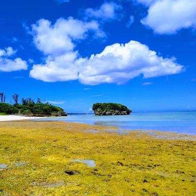愛深き故に愛を捨てた宿屋の親父 Profile