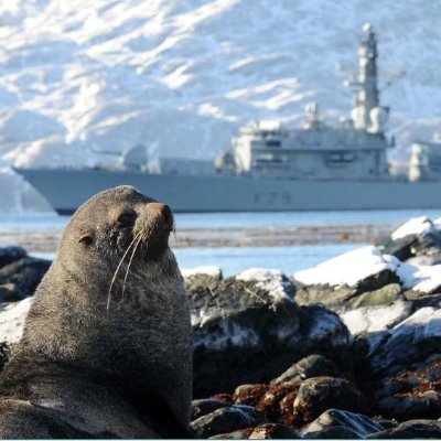 The_Crea's profile picture. 