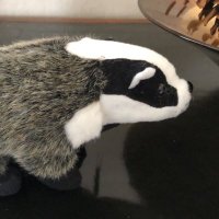 Bertie the Badger (@bertiethebadger) 's Twitter Profile