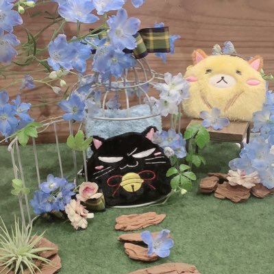 💎 blue pearl•*¨*•.¸¸♬🐹💎さんのプロフィール画像
