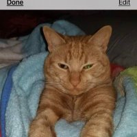 DThomas (@dthomas95357773) 's Twitter Profile