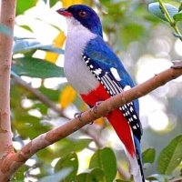 Mariolis Sablón 💯* 🇨🇺 (@mariolis1973) 's Twitter Profile