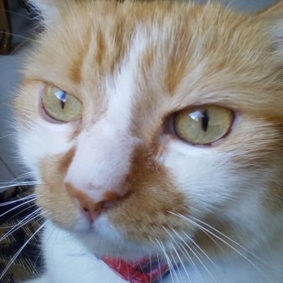 GonzalezAlgarra's profile picture. El yoga, ejercicios y la alegría de vivir