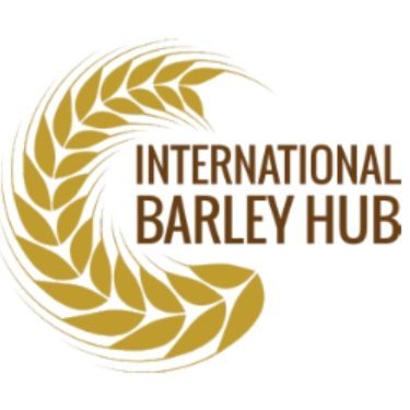 IntBarleyHub Profile Picture