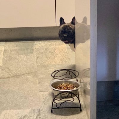 sergioe1301's profile picture. 