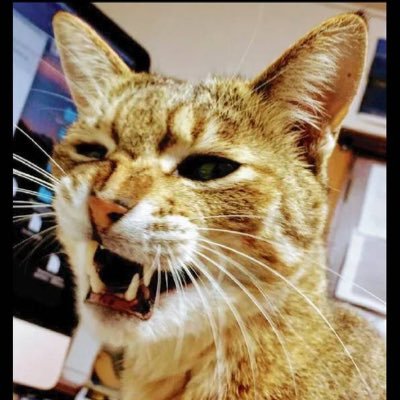 RockonTapDr's profile picture. Blues Drummer=D’ypcys @Dypcys/山田ブランチ&ザサンズオブブルース/Chao&The Happy Garden @TheHappyGarde 電気制御屋 趣味=落語/麻雀/競馬