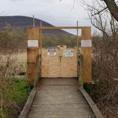 MarshBridge's profile picture. it's lonely inside these gates, you guys 😞 here to keep @thomp_run_woods  company ❤️