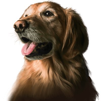 oubihis's profile picture. 