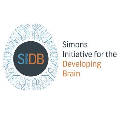 The Simons Initiative for the Developing Brain aims to discover the biological mechanisms underlying autism. Based at @EdinburghUni, funded by @SFARIorg