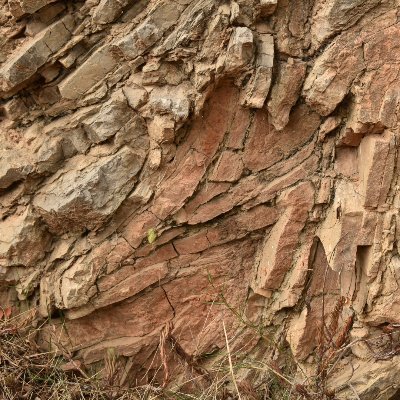 4norbert's profile picture. 