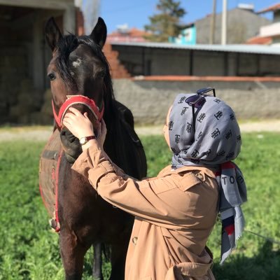 Türk Dili ve Edebiyatı Öğretmeni 📚🇹🇷