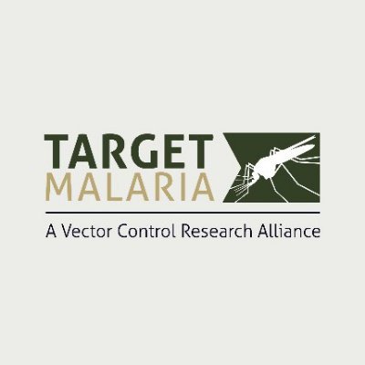 Target Malaria is a not-for-profit research consortium that aims to co-develop and share sustainable🧬genetic technologies to #endmalaria 🦟 #genedrive