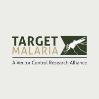 Target Malaria (@targetmalaria) 's Twitter Profile Photo Target Malaria (@targetmalaria) 's Twitter Profile Photo