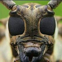 Ally. Kombo (@chikobe2000) 's Twitter Profile