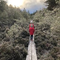 Emma Hutchinson (@emmahutch1) 's Twitter Profile